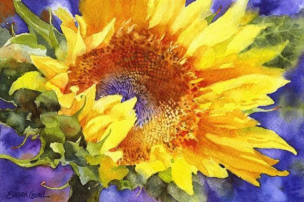 »óǰ ¼¶³×ÀÏ »óǰ ¼¶³×ÀÏ