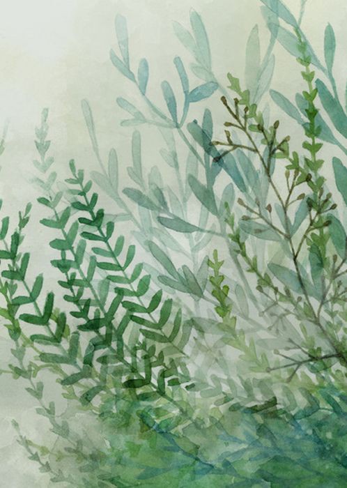 »óǰ ¼¶³×ÀÏ »óǰ ¼¶³×ÀÏ